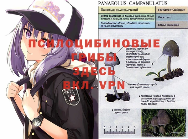 ALPHA-PVP Верхний Тагил