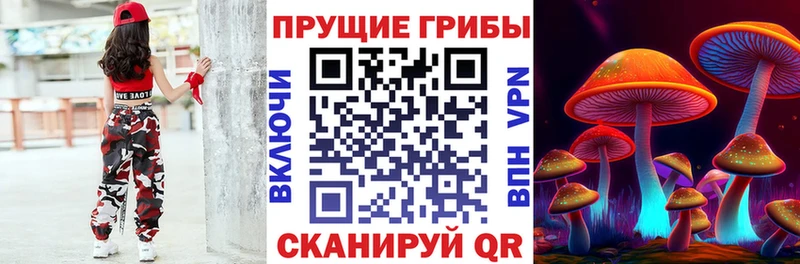 Галлюциногенные грибы Cubensis  гидра сайт  Городовиковск 